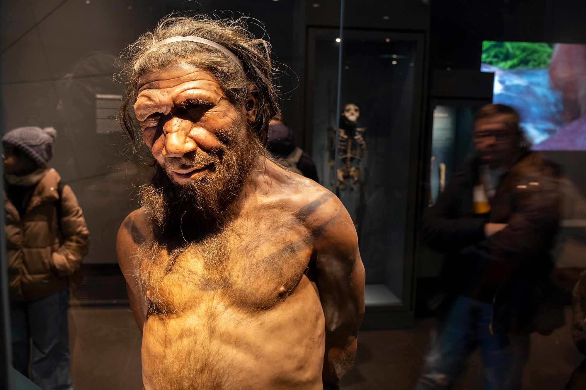 <i>Alain Pitton/NurPhoto/Getty Images via CNN Newsource</i><br/>A human skull is on display with a picture of a Neanderthal man at The Museum of Natural History of Toulouse in France in October 2019.