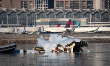 A person looks on from the bank of the Potomac River near where a US Army helicopter collided with an American Airlines regional jet landing at Ronald Reagan Washington National Airport on January 29