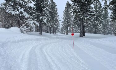 Tread marks from rescue teams' vehicles lead into a closed trail after search crews were launched following an avalanche in a backcountry slope of California's Sierra Nevada mountains.