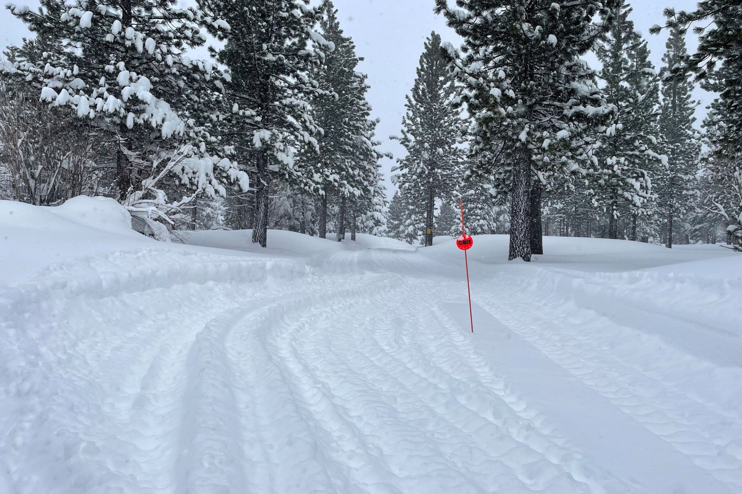 <i>Jenna Greene/Reuters via CNN Newsource</i><br/>Tread marks from rescue teams' vehicles lead into a closed trail after search crews were launched following an avalanche in a backcountry slope of California's Sierra Nevada mountains.
