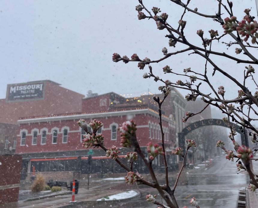 Screenshot 2026-03-19 at 2.37.02 PM