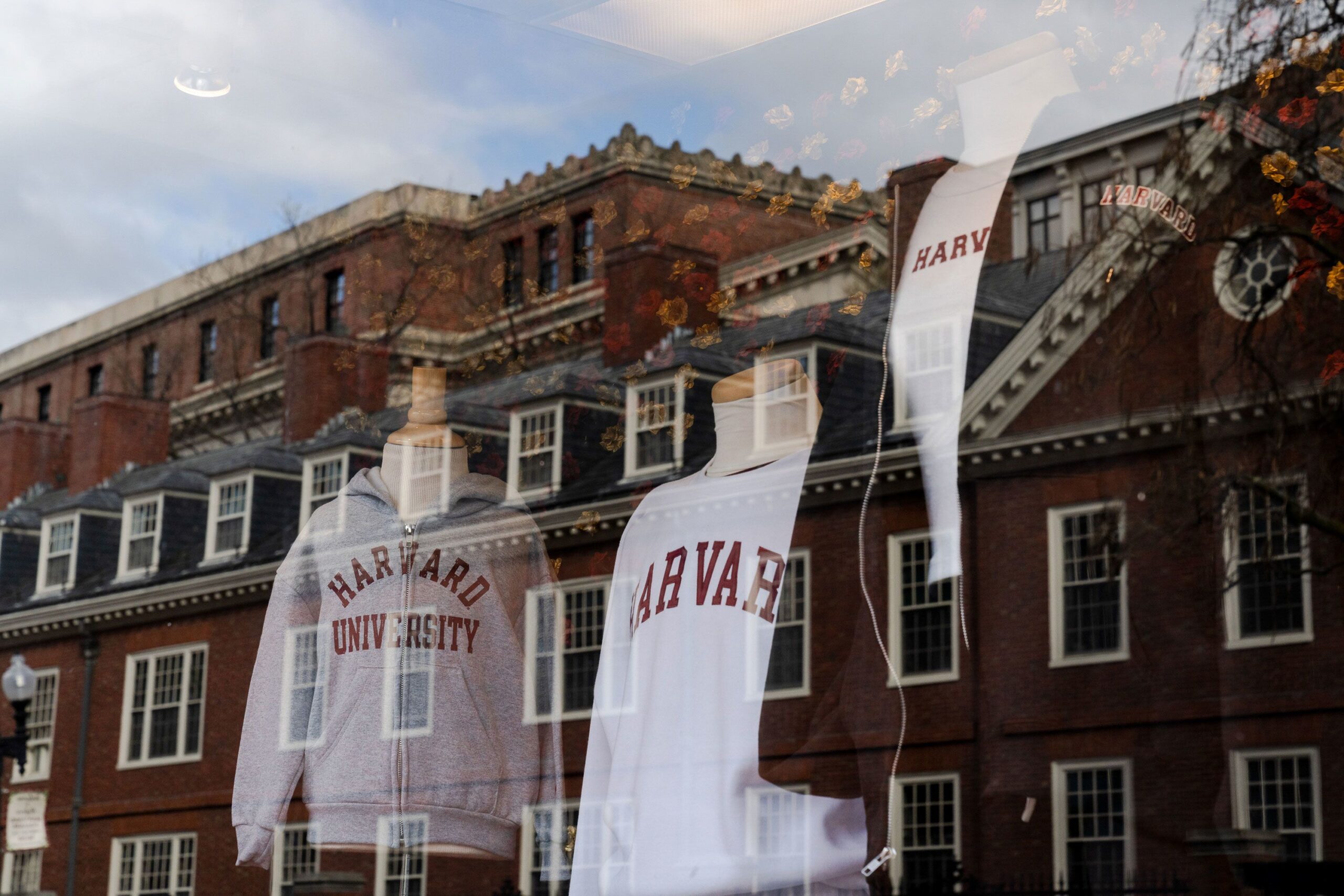 <i>Sophie Park/Bloomberg via Getty Images via CNN Newsource</i><br/>Harvard University merchandise in a store window across from campus in Cambridge