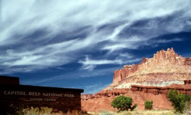 The manhunt has stretched across Wayne County