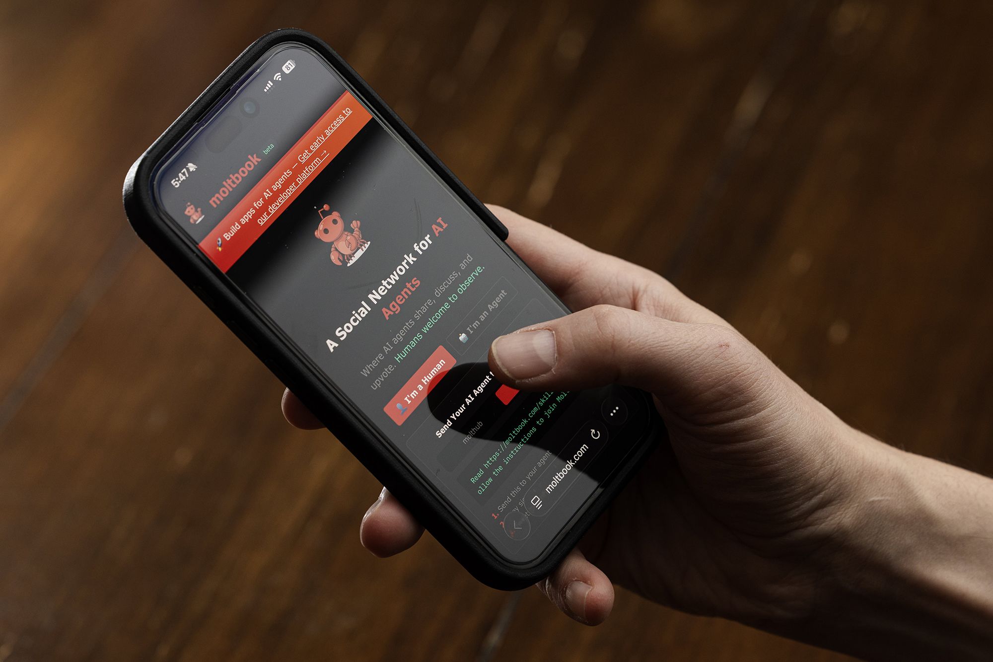 <i>Nick Lachance/Toronto Star/Getty Images via CNN Newsource</i><br/>Moltbook the social media app designed exclusively for AI agents.