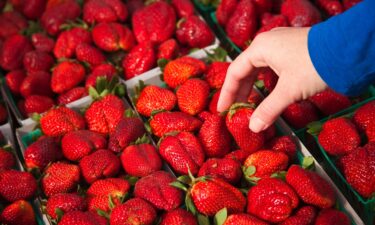 Sample of strawberries contained 10 different "forever" pesticides