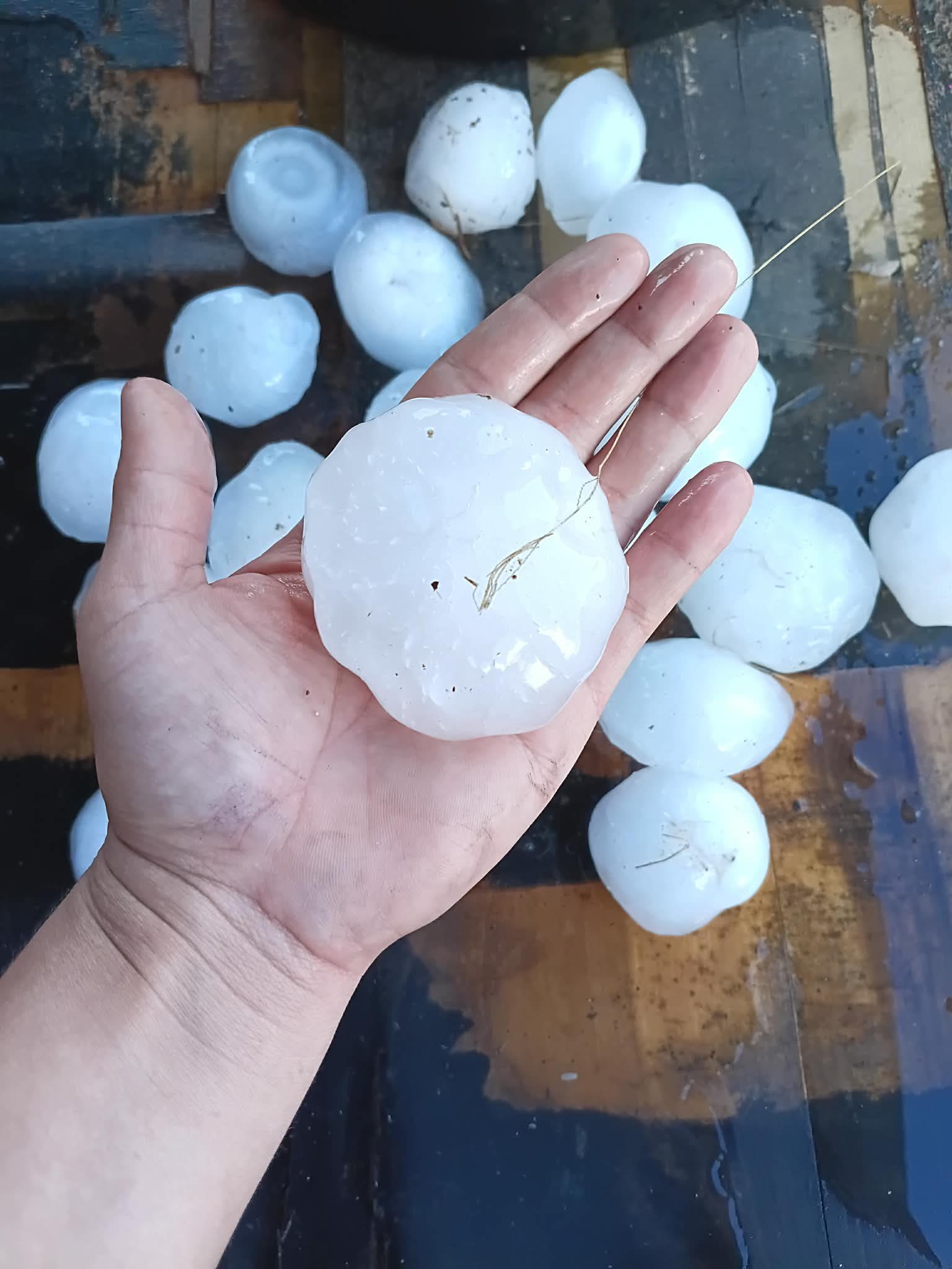 <i>Courtesy Selena Jane Castillo via CNN Newsource</i><br/>