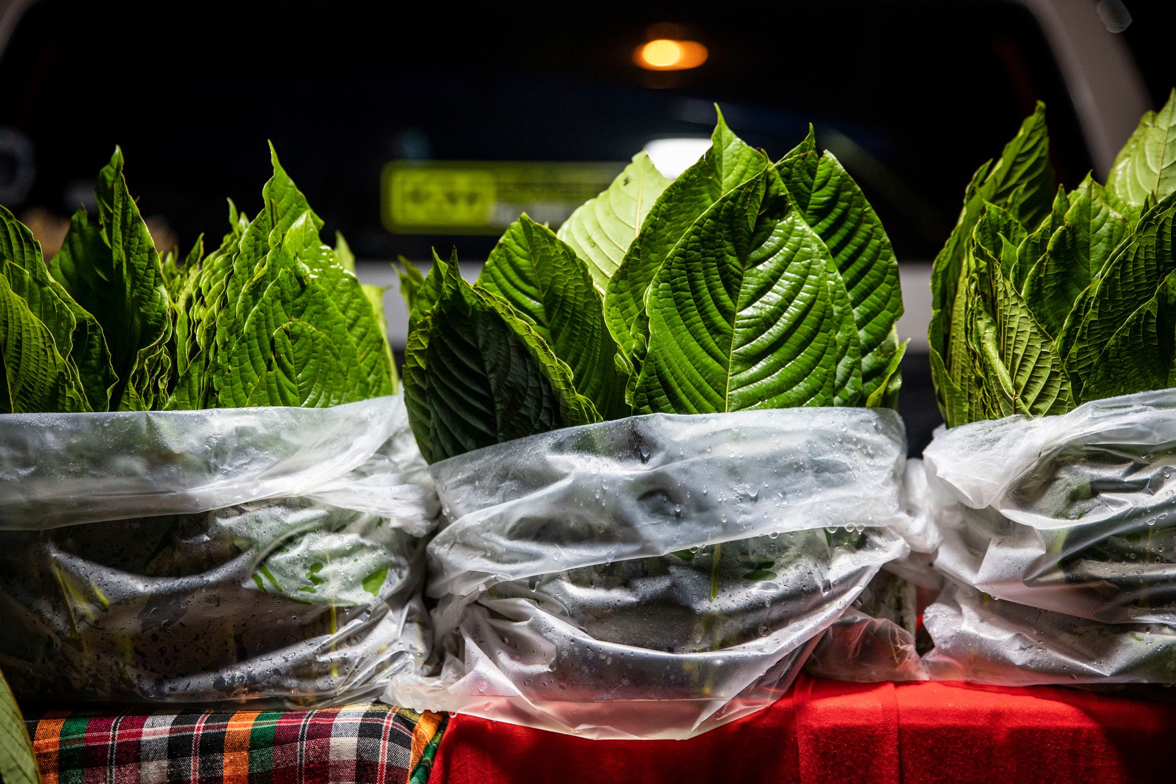 <i>Lauren DeCicca/Getty Images via CNN Newsource</i><br/>Kratom leaves on sale at a market in Bangkok