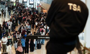 Pictured are security lines at New York's LaGuardia airport on March 22.
