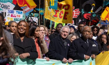 Protesters wearing inflatables attend the "No Kings" rally in Los Angeles.