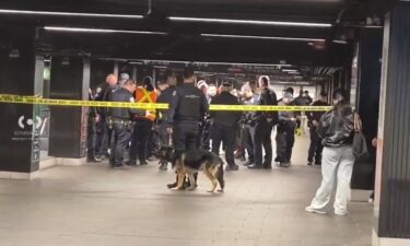 Authorities respond to stabbing attack at New York's Grand Central station on April 11.