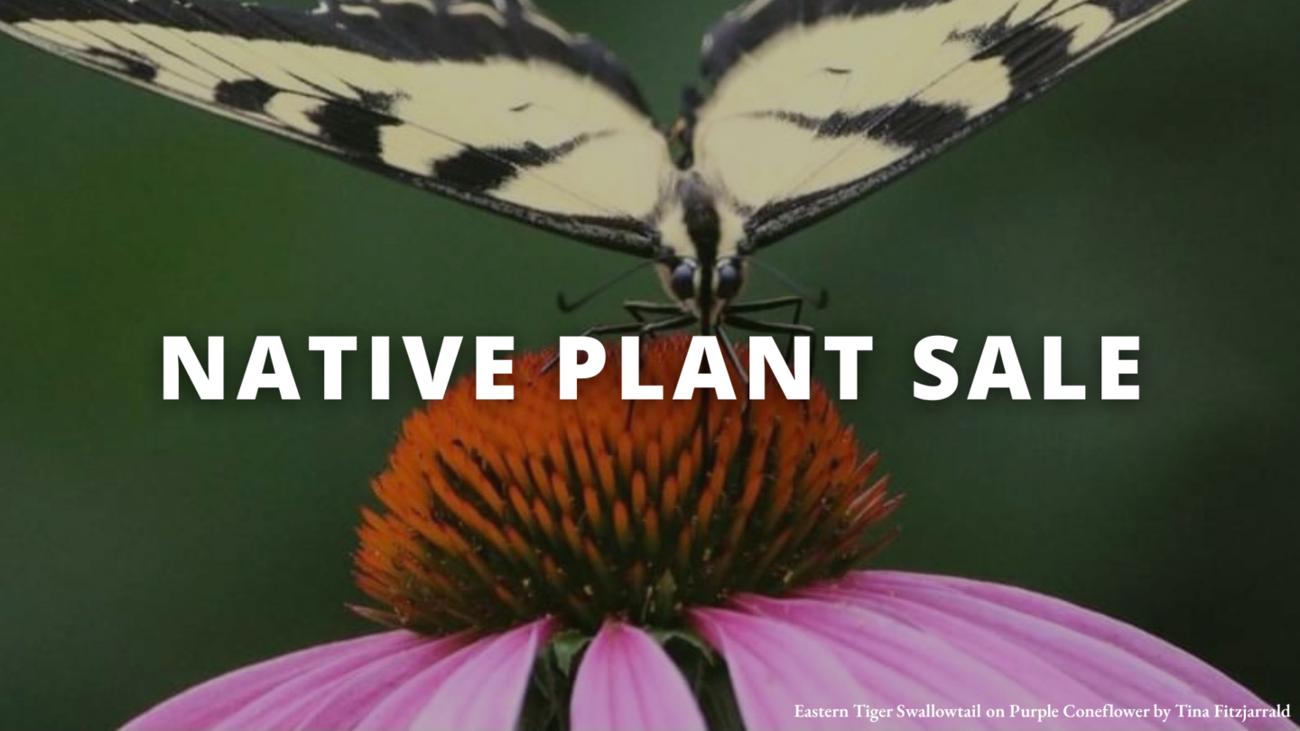 The Remington Nature Center plant sale poster.