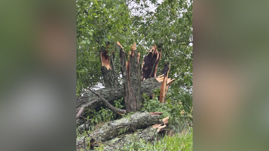 Storm damage