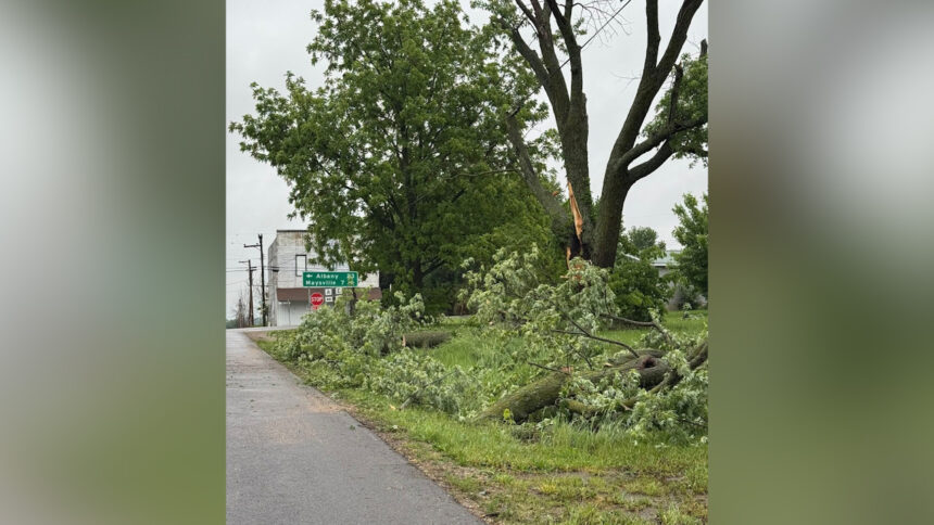 Storm damage