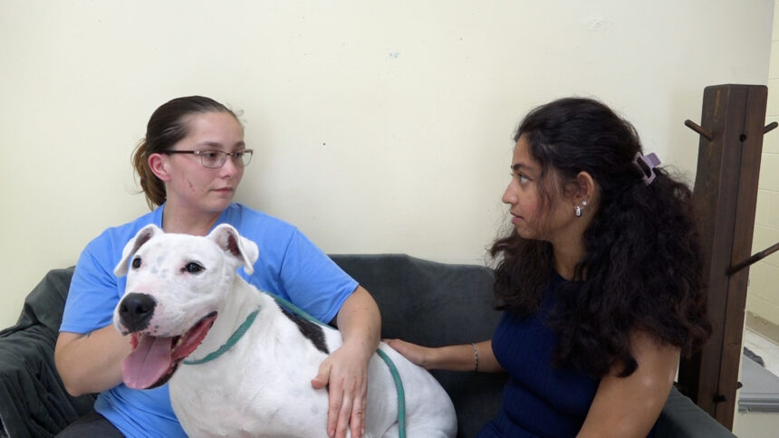 Humane society of atchison