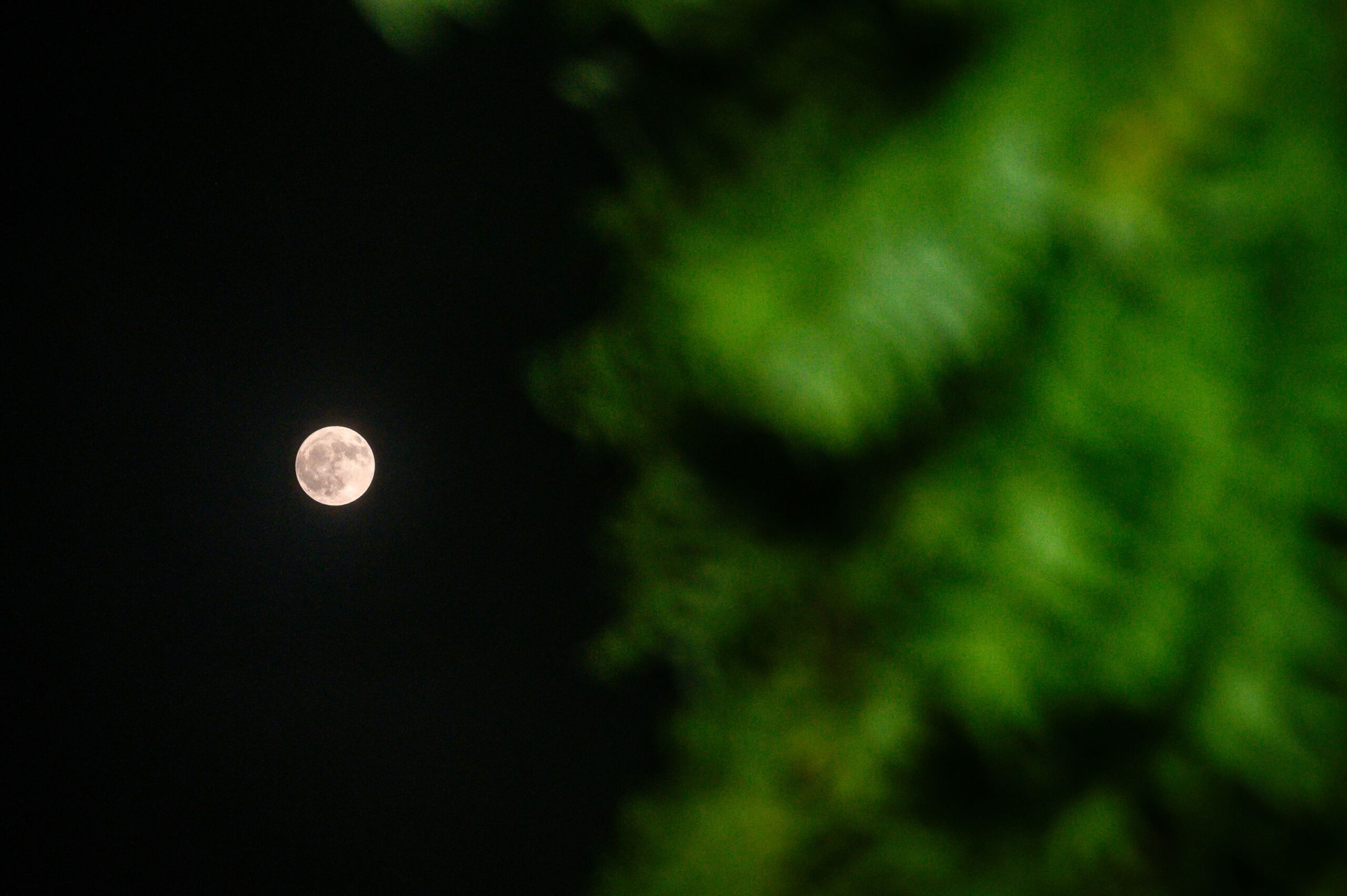 <i>Soumyabrata Roy/NurPhoto/Getty Images/File via CNN Newsource</i><br/>The buck moon rises over West Bengal