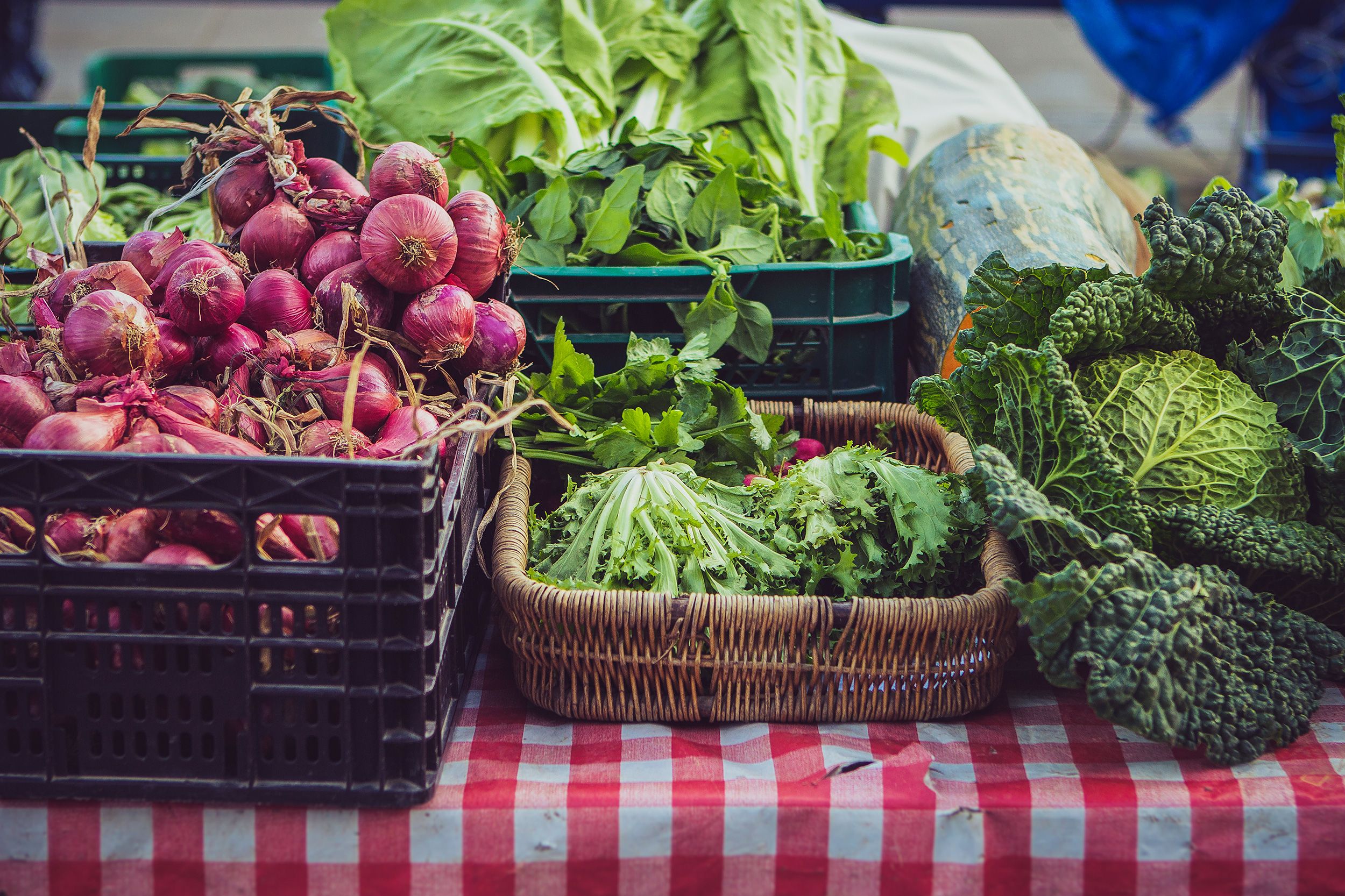<i>Nico De Pasquale/Moment RF/Getty Images via CNN Newsource</i><br/>When shopping for lettuce or other greens