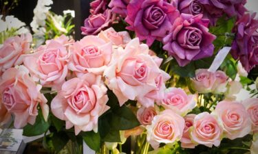 From bouquets to filet mignon: What Instacart orders reveal about the best Mother's Day gifts in Missouri