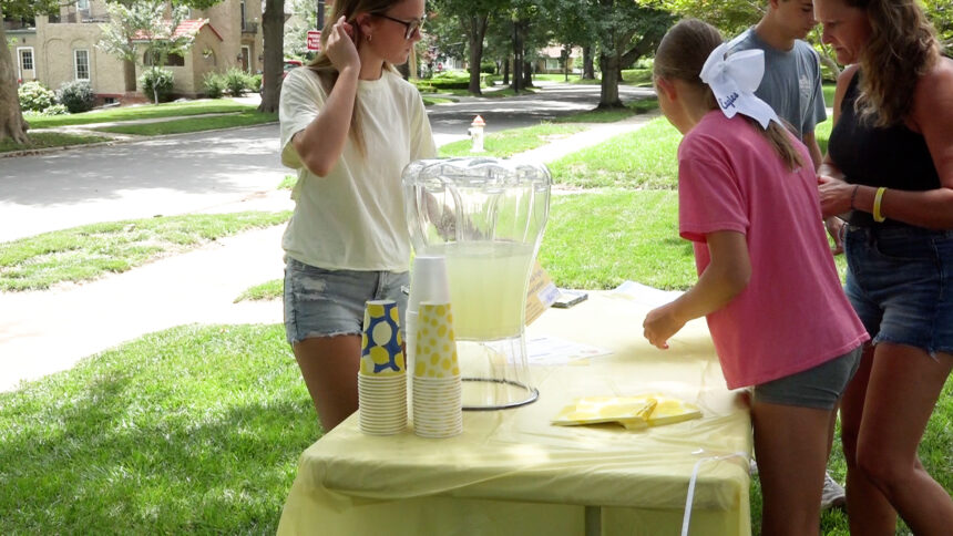 lemonade stand web