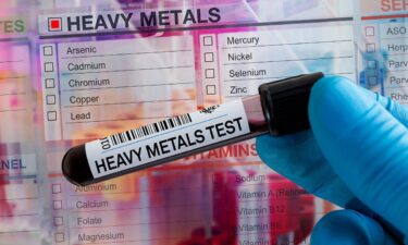 Does your body absorb heavy metals? Bioavailability explained