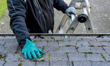 What are the first steps after discovering a roof leak?