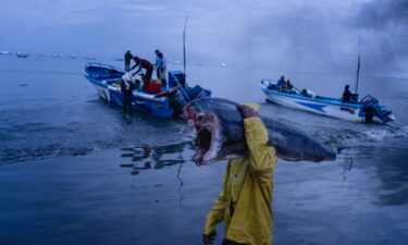 Fishermen carry fish from their boats to Playita Mía in Manta