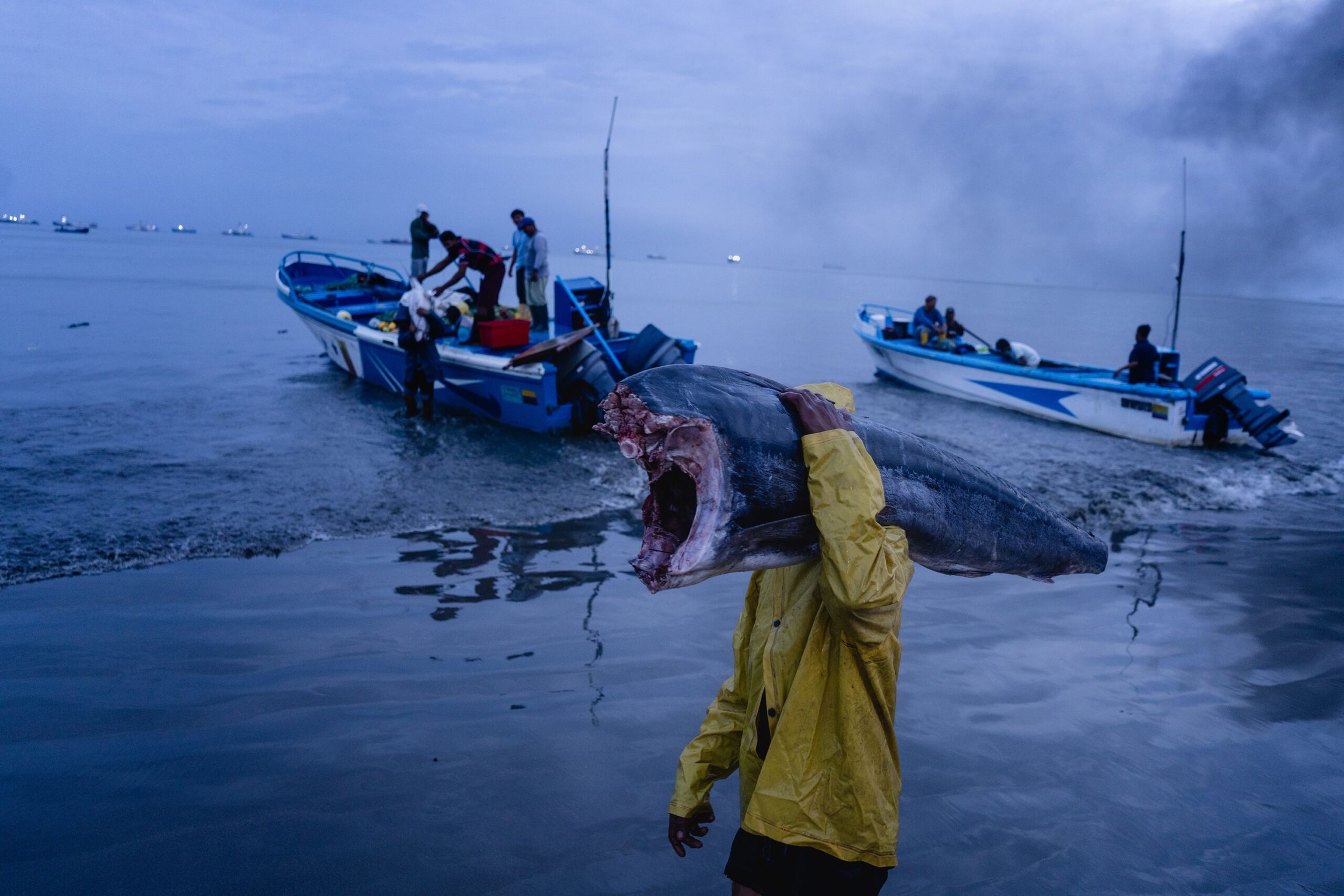 <i>Johanna Alarcón / Los Angeles Times/Getty Images via CNN Newsource</i><br/>Fishermen carry fish from their boats to Playita Mía in Manta