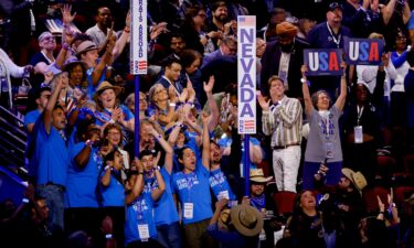 Nevada delegates cheer during a roll call vote during the Democratic National Convention in Chicago in August 2024.