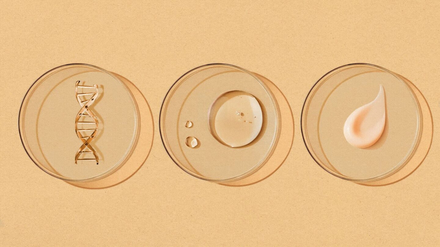 <i>Photo Illustration by Ian Berry/CNN via CNN Newsource</i><br/>Biotechnology is a process that uses living microorganisms like yeast and bacteria to create “cleaner
