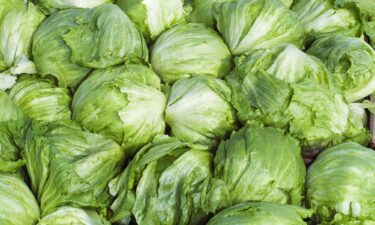 Experts believe that because lettuce is perishable
