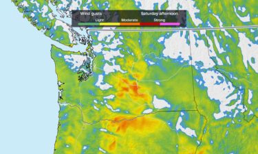 Forecast wind gusts on August 8