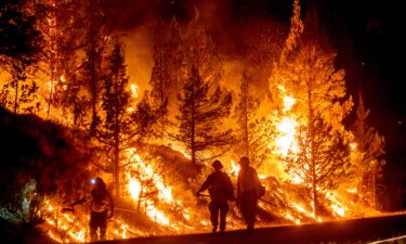 Firefighters burn off vegetation while trying to stop the Bench Fire from spreading in Warm Springs