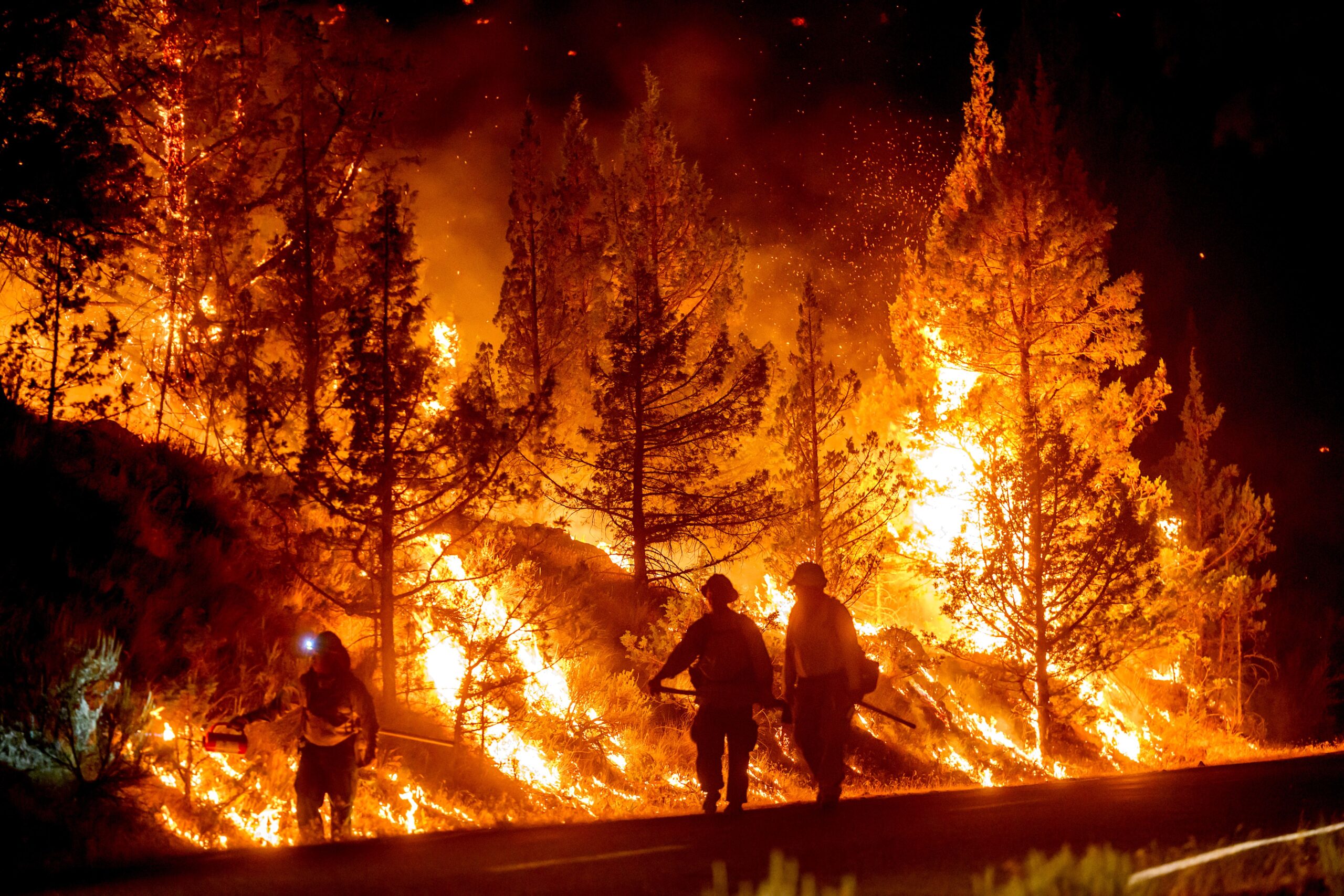 <i>Noah Berger/AP via CNN Newsource</i><br/>Firefighters burn off vegetation while trying to stop the Bench Fire from spreading in Warm Springs