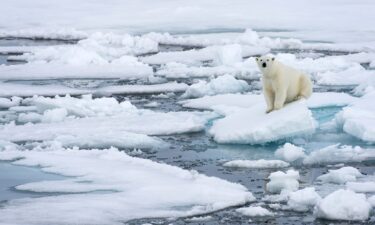 A warning sign depicts a polar bear at the side of a road in Longyearbyen on the Svalbard Archipelago