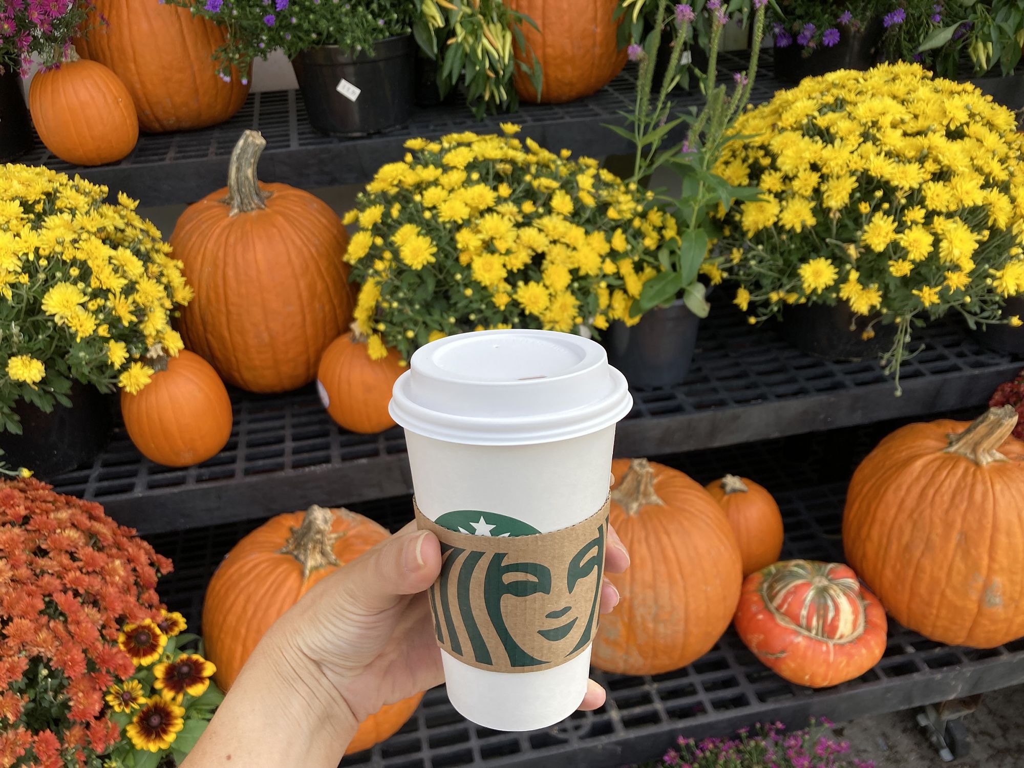 <i>Christina Tkacik/Baltimore Sun/Tribune News Service/Getty Images via CNN Newsource</i><br/>A Starbucks Pumpkin Spice Latte. The coffee chain's fall favorite returns to shops on Tuesday.