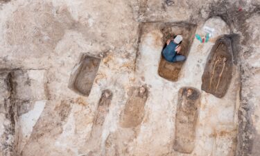 A 400-year-old grave unearthed in Poland held the body of a young woman with the rusted blade of a sickle over her throat.