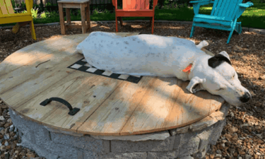 Barkitecture: 12 dog-friendly landscaping ideas for your backyard