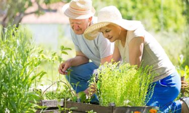 Falls to forgotten meds: 8 preventable reasons older Americans end up in the ER