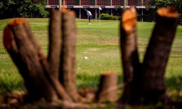 Tree stumps are visible as a golfer plays at East Potomac Golf Course in Washington