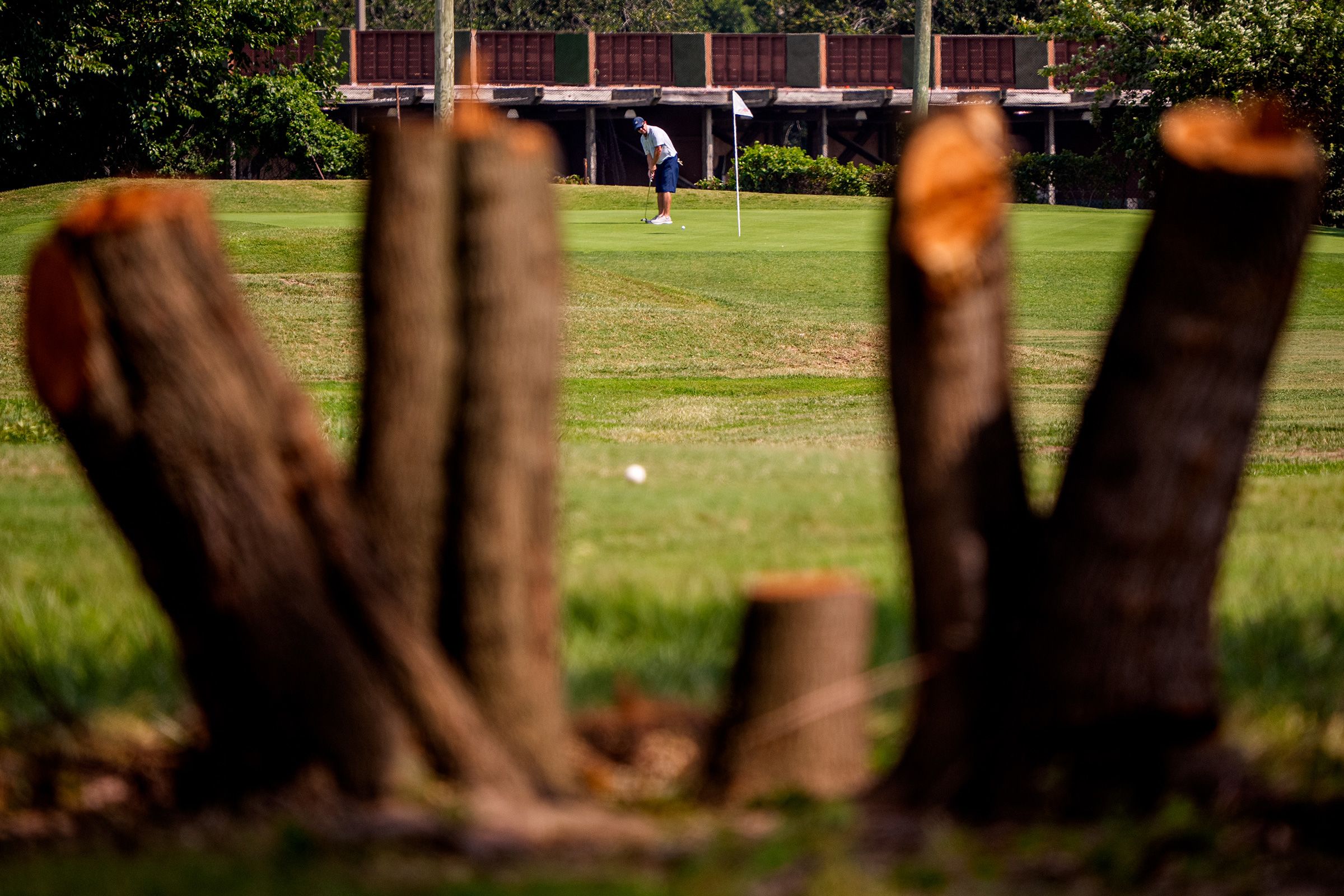 <i>Andrew Harnik/Getty Images via CNN Newsource</i><br/>Tree stumps are visible as a golfer plays at East Potomac Golf Course in Washington