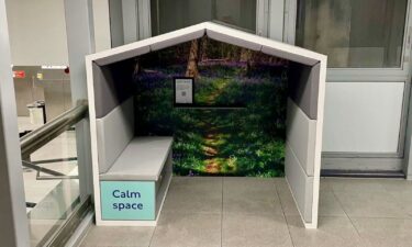 One Facebook commenter described the refuge as "a calm space for ants."
