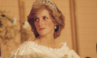 Princess Diana's sons