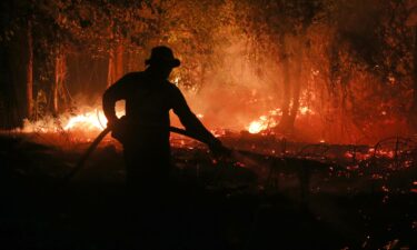A firefighter tries to extinguish a wildfire burning through a peatland forest in Pulang Pisau