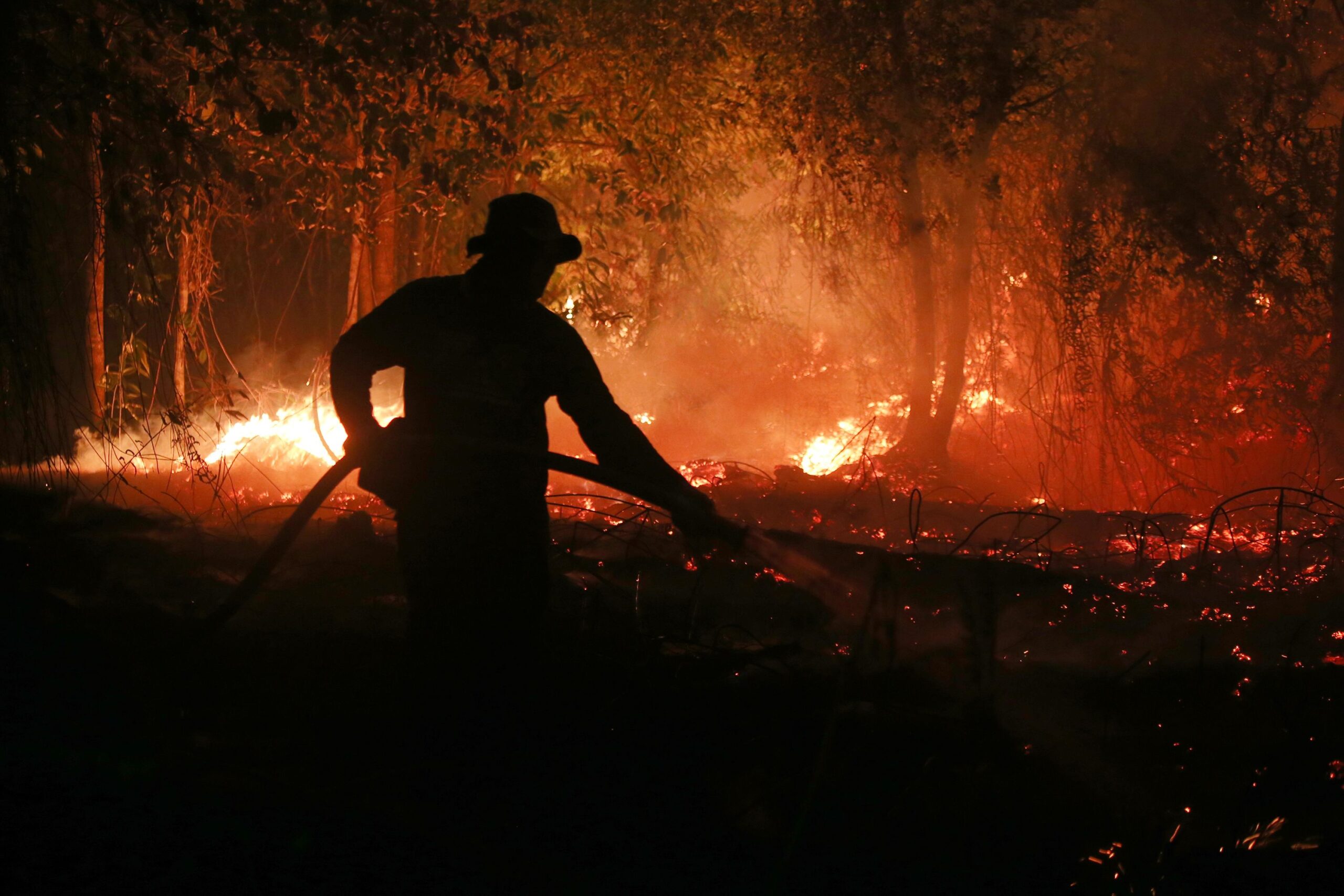 <i>Regina Safri/AP via CNN Newsource</i><br/>A firefighter tries to extinguish a wildfire burning through a peatland forest in Pulang Pisau