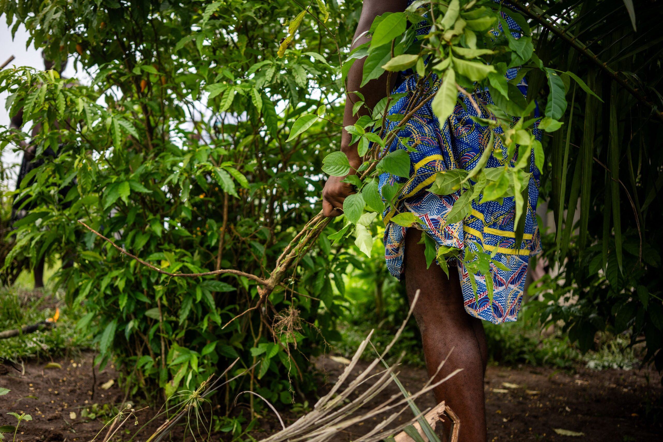 <i>Nao Mukadi/AFP/Getty Images via CNN Newsource</i><br/>Ibogaine