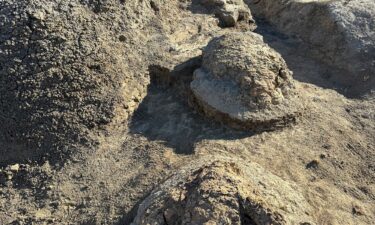 In the Hell Creek Formation in North Dakota