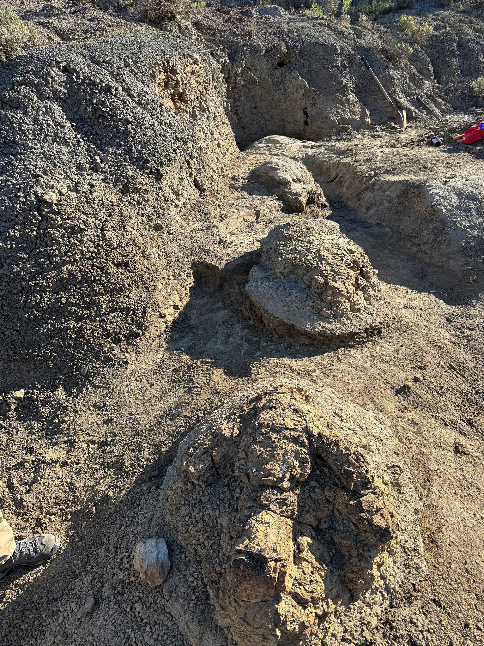 <i>Kent Hups/Denver Museum of Nature & Science via CNN Newsource</i><br/>In the Hell Creek Formation in North Dakota