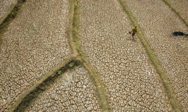 A dried-up rice field caused by a prolonged dry season at Wening Galih village in Bogor