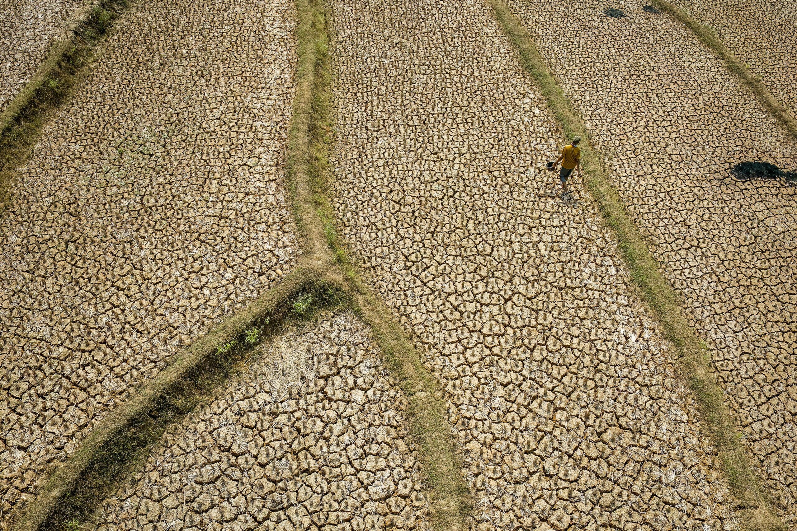 <i>Aditya Aji/AFP/Getty Images via CNN Newsource</i><br/>A dried-up rice field caused by a prolonged dry season at Wening Galih village in Bogor