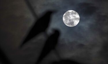 The full harvest moon rises over Sri Lanka in September 2023.
