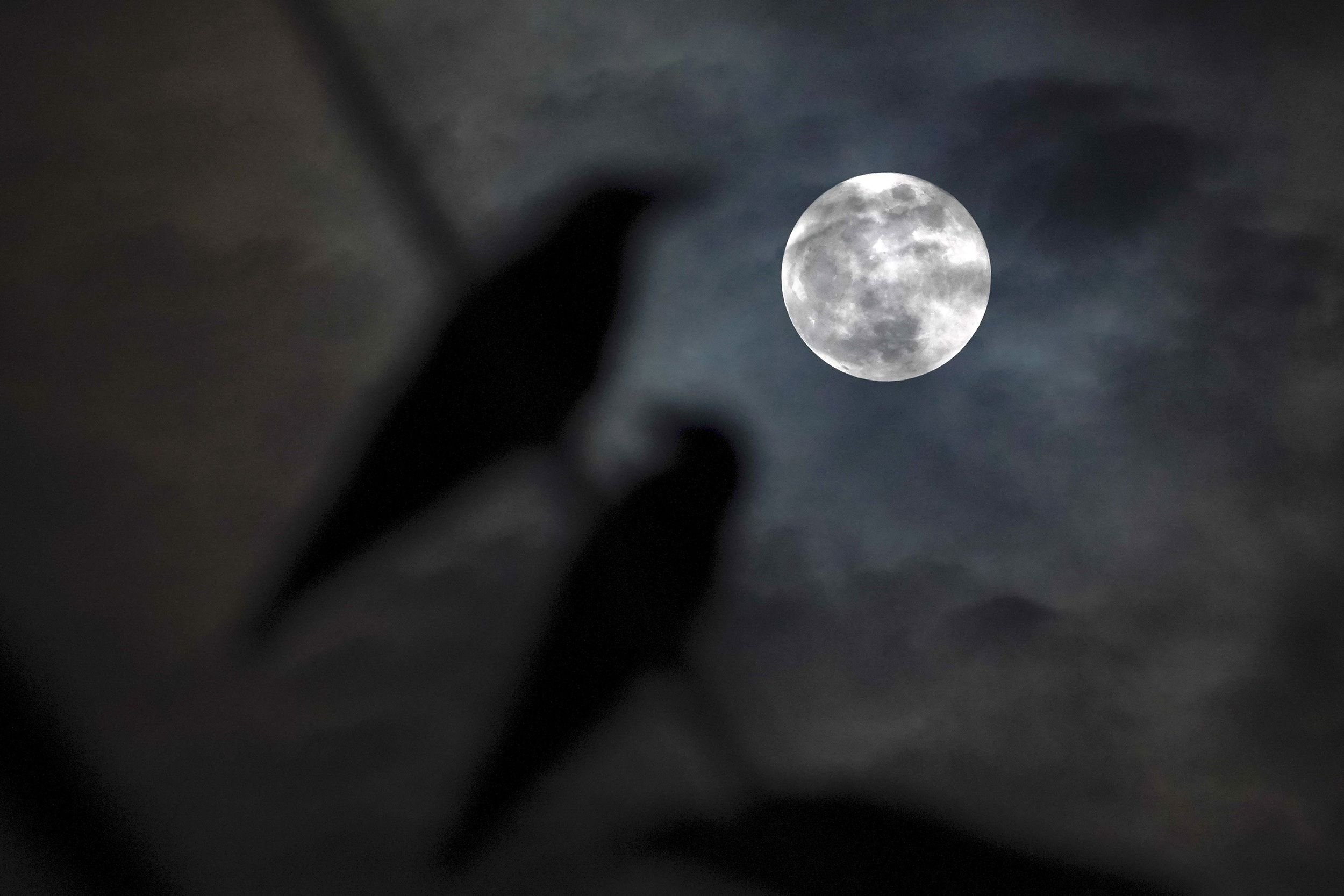 <i>Thilina Kaluthotage/NurPhoto/Getty Images via CNN Newsource</i><br/>The full harvest moon rises over Sri Lanka in September 2023.
